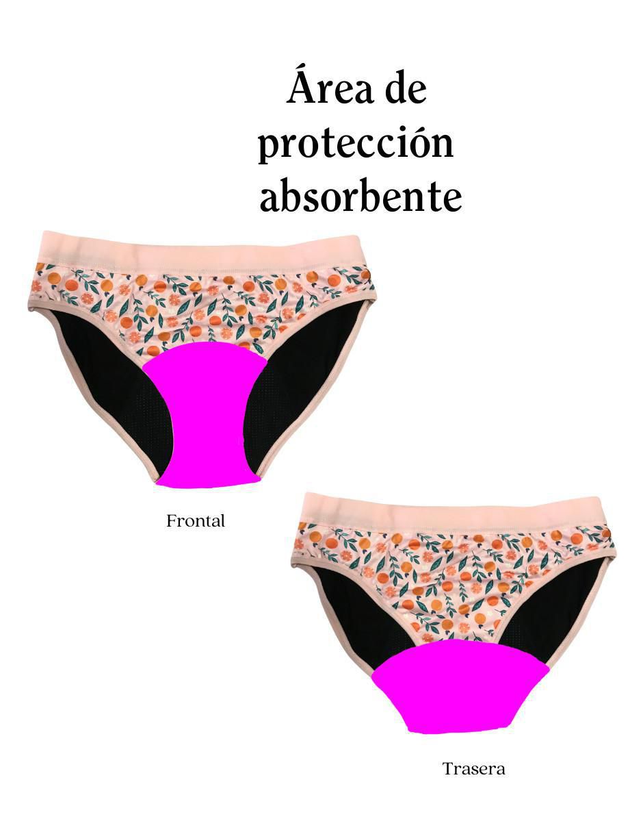 Panty menstrual flujo moderado