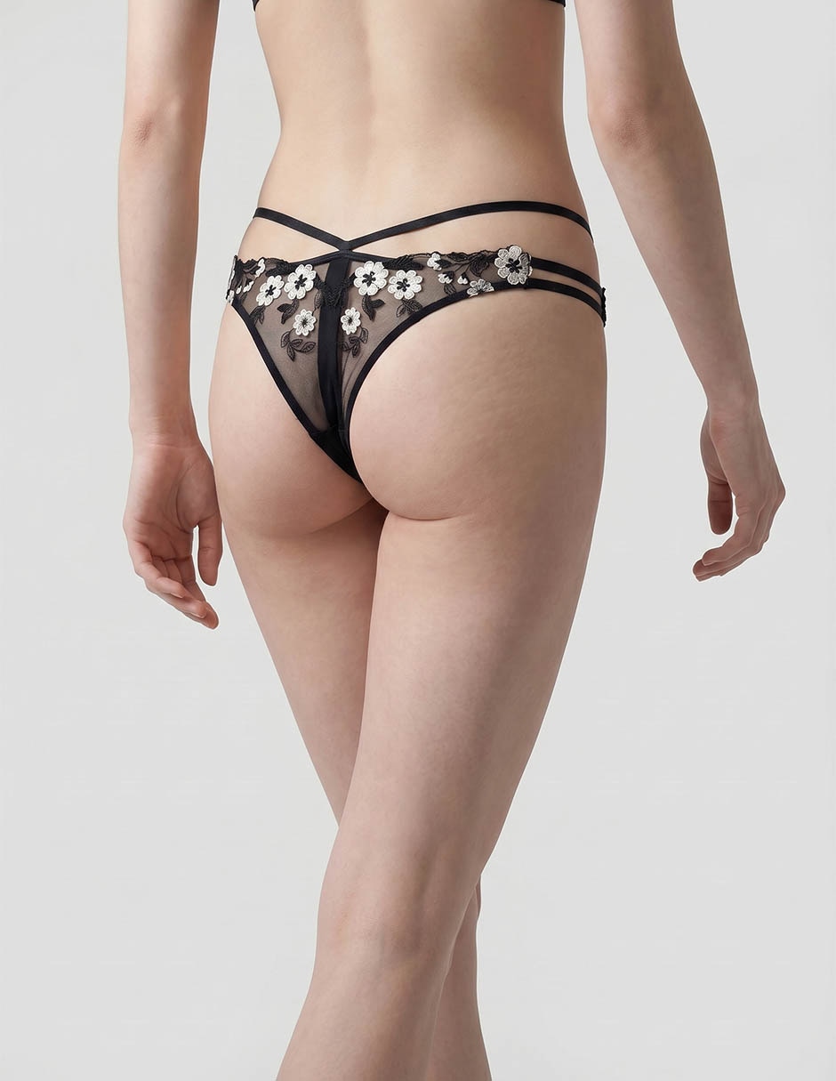 Panty Map